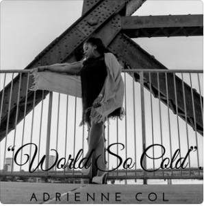 World So Cold by Adrienne Col